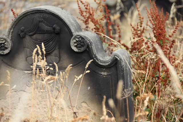 ancient, burial, cemetery, dead, grass, grave, gravestone, graveyard, halloween, headstone, medieval, nature, memorial, old, peace, stone, tomb, tombstone, neglected, happyhalloween, brown grass, brown peace, brown death, brown tomb, brown memory, brown stone. Why do anniversaries and archives entries often leave the cause blank?