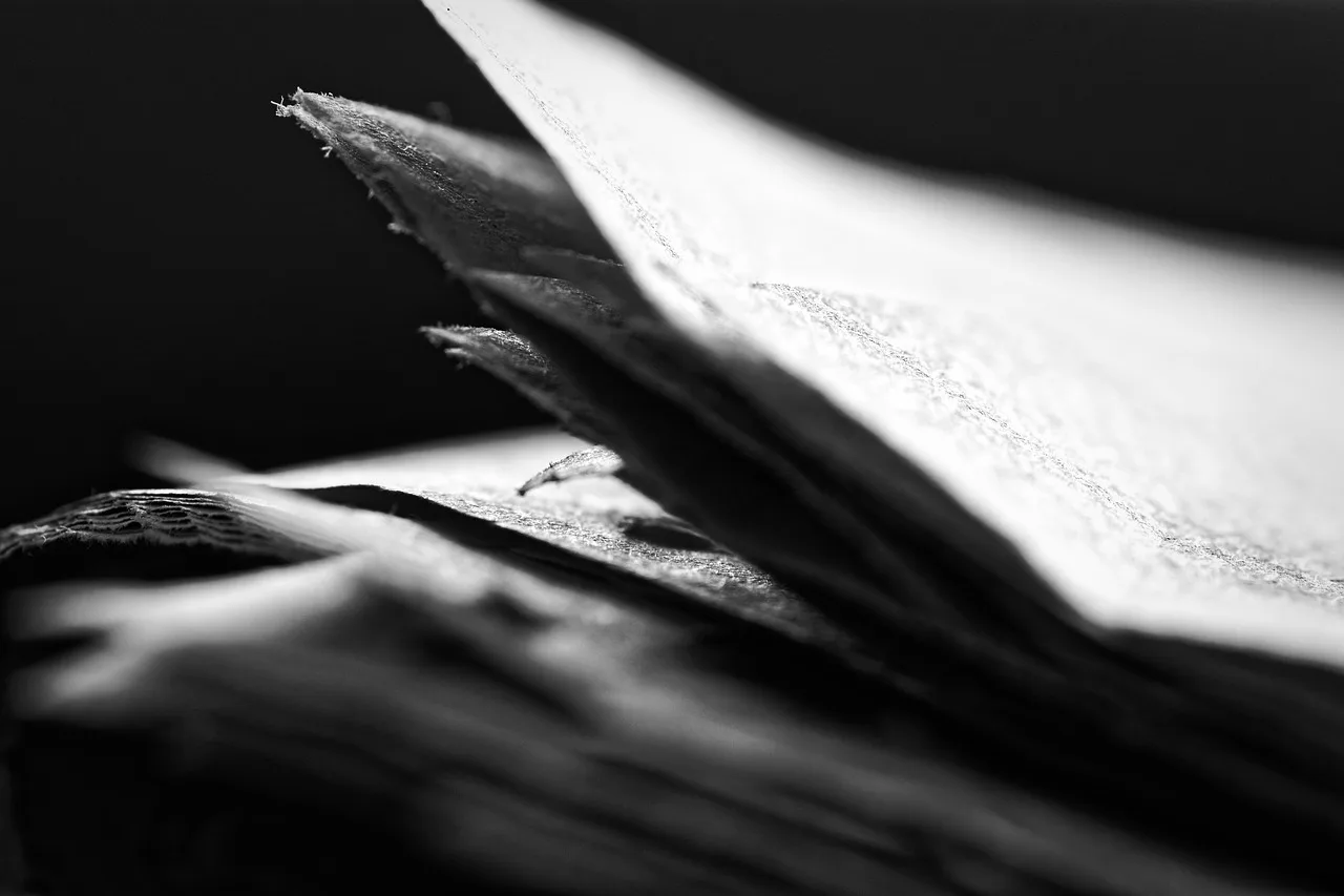 black and white, newspaper, focus, bokeh, curl, newspaper, newspaper, newspaper, newspaper, newspaper. California and New York obituary archives: sourcing