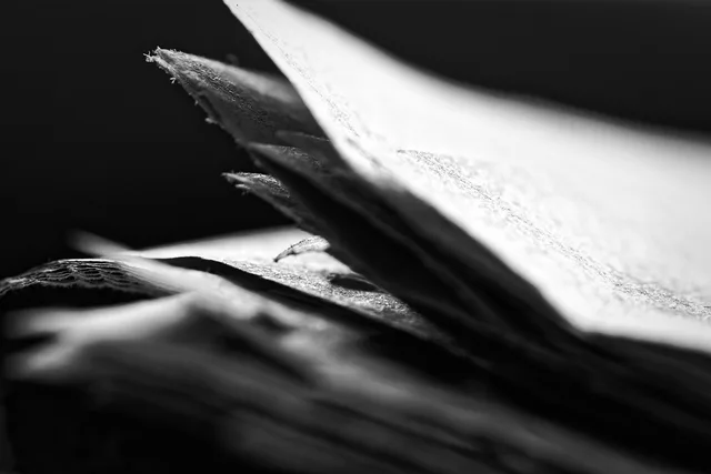 black and white, newspaper, focus, bokeh, curl, newspaper, newspaper, newspaper, newspaper, newspaper. California and New York obituary archives: sourcing