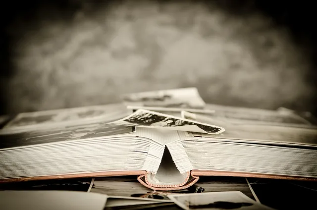 photos, album, old, photo album, photographer, memory, nostalgia, souvenir, photography, pictures, photographs, photos, album, photo album, photo album, photo album, memory, memory, memory, memory, memory. Career memorials this week: five earlier cases, 2023–2024