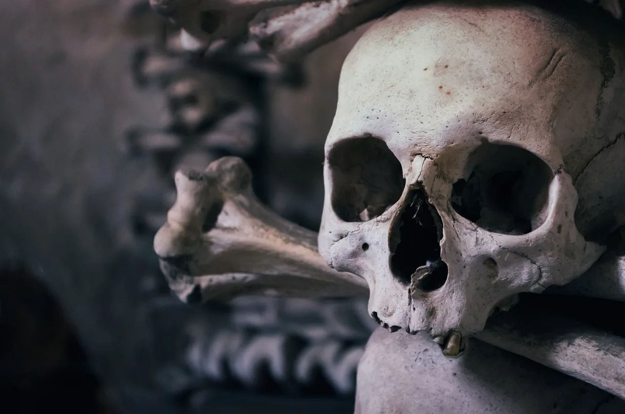 skull, ossuary, czech republic, chapel of all saints, kutna hora, happyhalloween, gray skull, halloween, skull, skull, skull, skull, skull, halloween. Cause of death guides: which records hold a cause