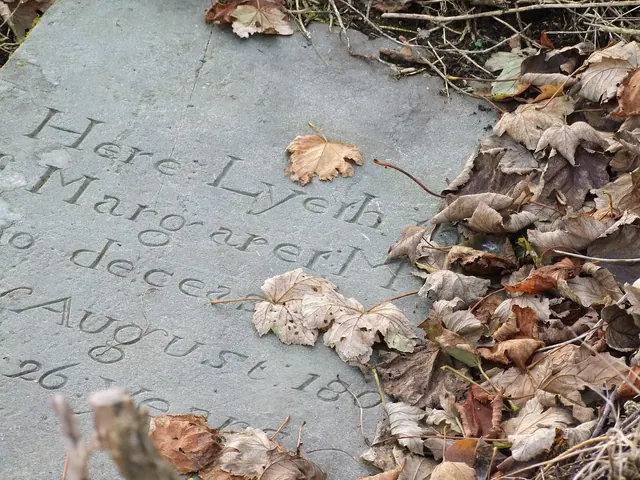 headstone, cemetery, halloween, gravestone, memorial, tombstone, burial, religion, funeral, symbol, granite, gray death, gray memory. Deaths by month today: a careful daily record for 2027
