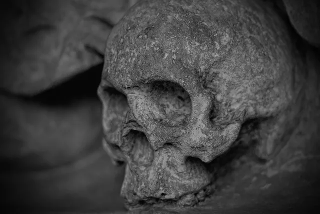skull, skeleton, monochrome, dead, face, head, sculpture, stone, stone figure, stone sculpture, statue, mythical, figure, skull, skull, skull, skull, skull, skeleton, skeleton, dead. Celebrity deaths and causes: Boseman, Trebek, and Bowie