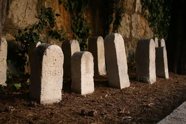 graveyard, tombstones, cemetery, gravestone, spooky, brown death. Deaths Today: How to Make a Celebrity Death Source Note Recheckable