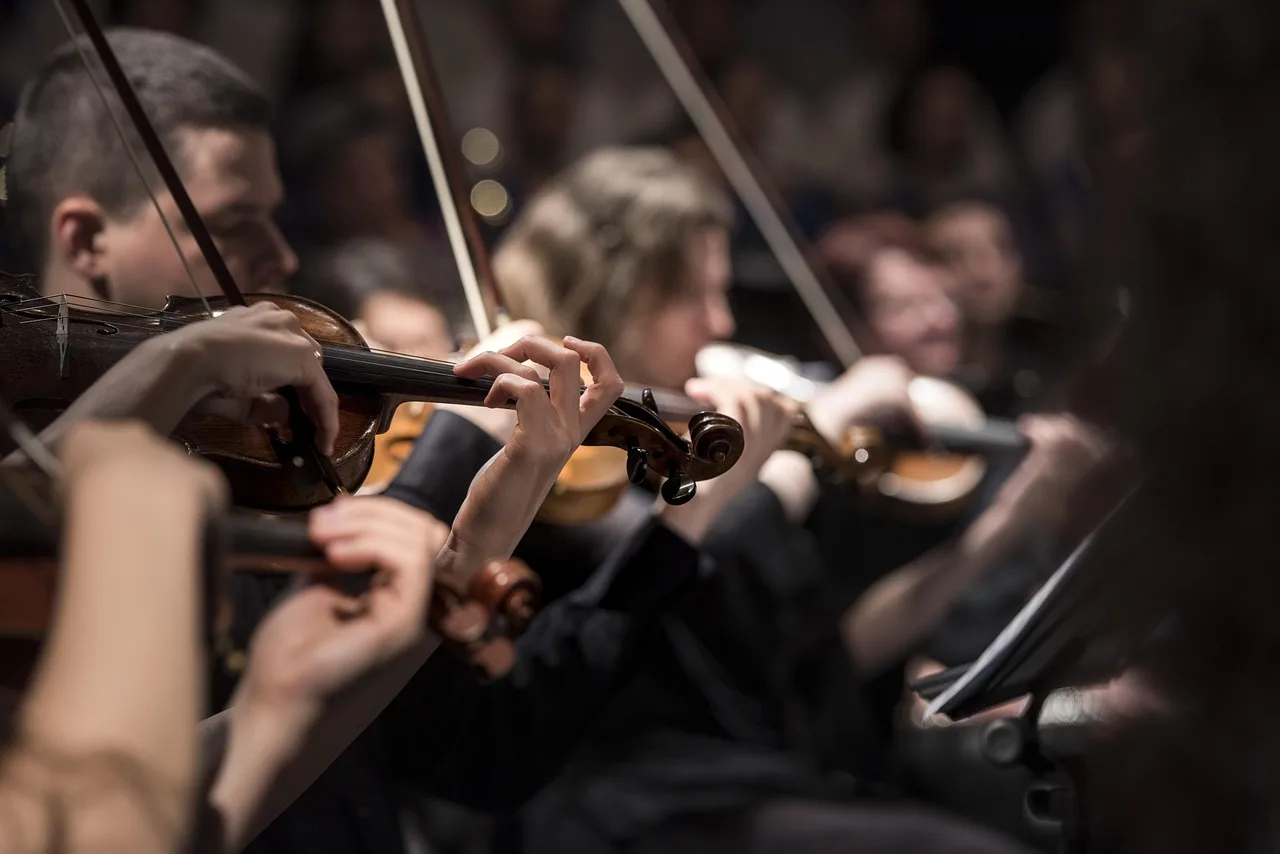 violins, musicians, orchestra, instruments, bowed string instruments, musical, musical instruments, classical music, concert, music, performance, string instruments, orchestra, orchestra, orchestra, orchestra, orchestra, concert, music, music, music. How musician deaths are announced by cities, unions and venues